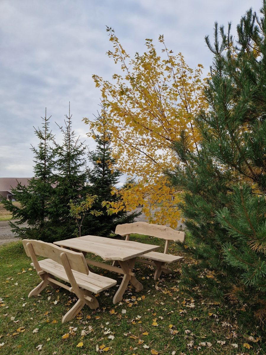 Garten Essgruppe wetterfest; Tisch mit Sitzbänken einzeln