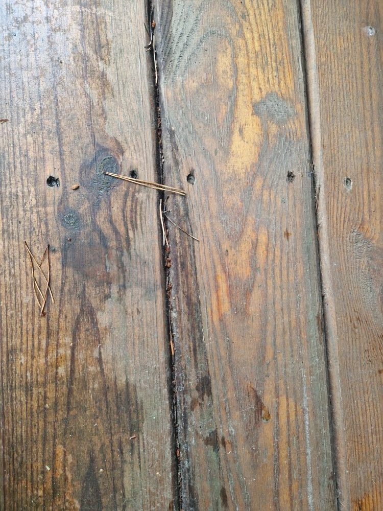 Holzpflege beim Pavillon