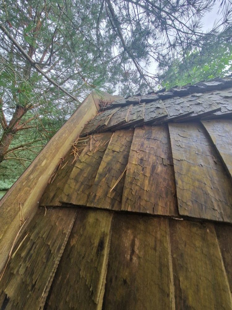 Holzpavillon richtig pflegen