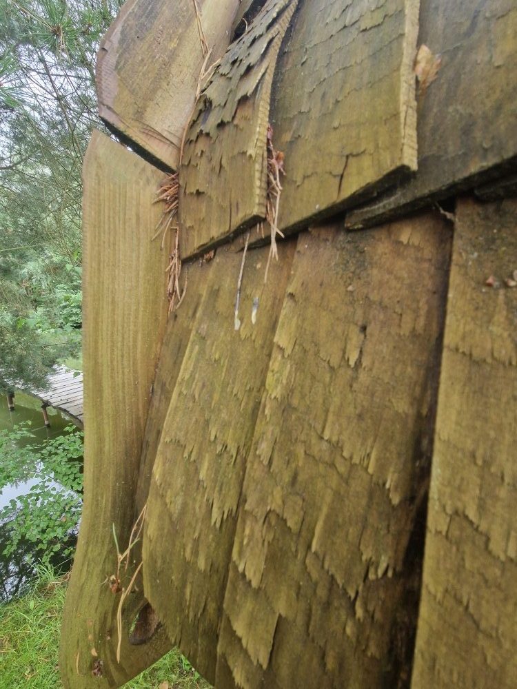 Holzpavillon richtig pflegen