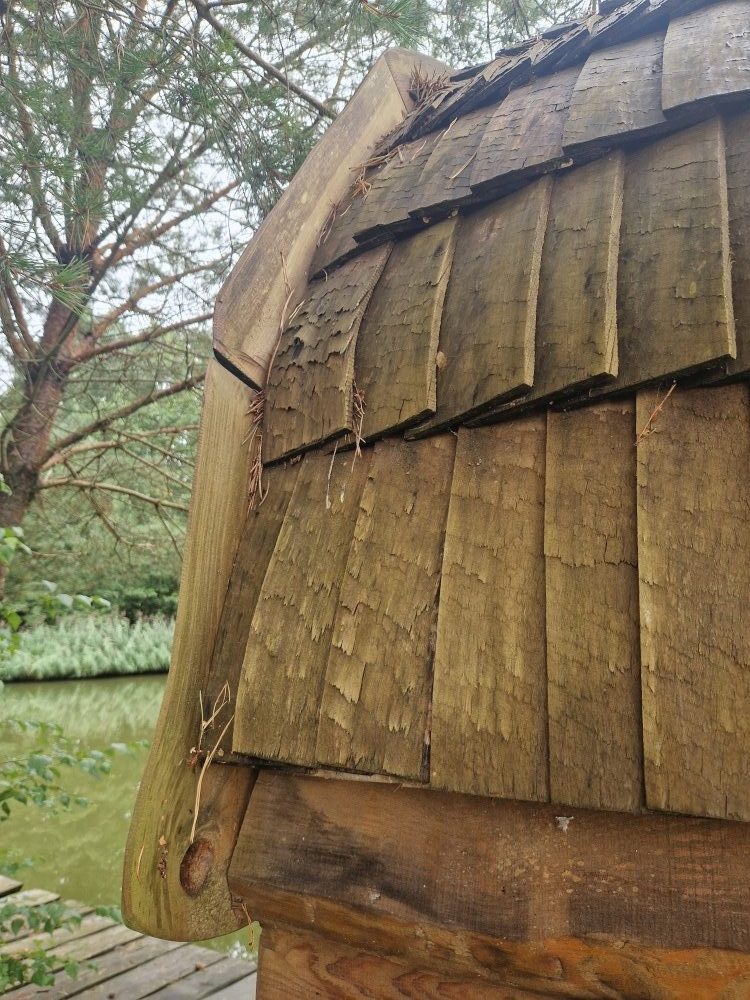 Holzpavillon Dach reinigen und pflegen