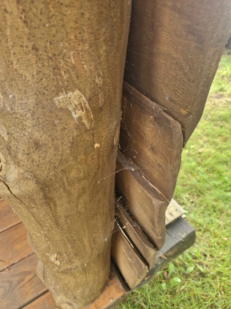 Holzpavillon reinigen und pflegen